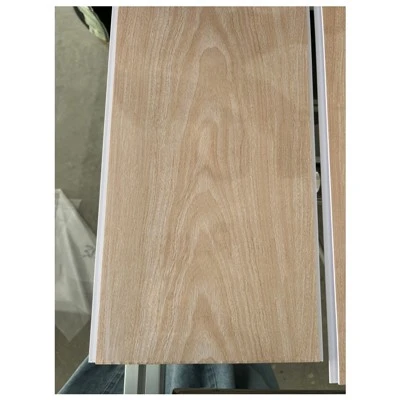 PVC Limitu Panel Techo PVC